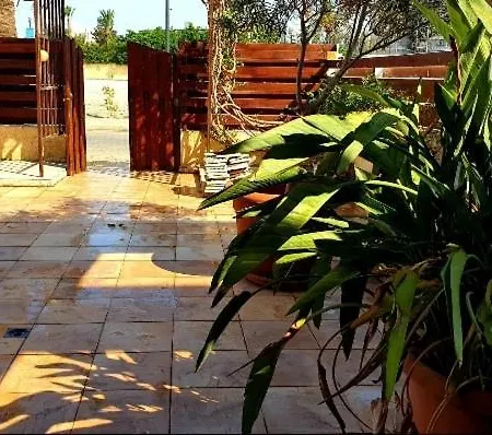 Palm Apartment